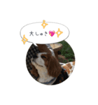 CavaGirls  2（個別スタンプ：6）