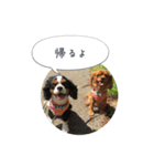 CavaGirls  2（個別スタンプ：8）