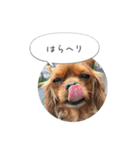 CavaGirls  2（個別スタンプ：13）