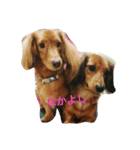 ルナメルすたんぷ（個別スタンプ：8）
