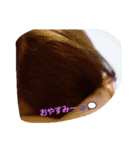 sihoriStamp（個別スタンプ：14）