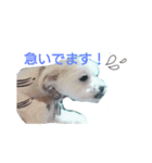 Numo's feeling（個別スタンプ：2）