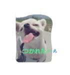 メルメルランド（個別スタンプ：3）