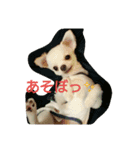 メルメルランド（個別スタンプ：4）