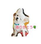 メルメルランド（個別スタンプ：6）