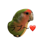 そうきのこのいちにち（個別スタンプ：3）