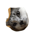 そうきのこのいちにち（個別スタンプ：4）
