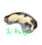 そうきのこのいちにち（個別スタンプ：7）