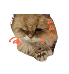 cats mill（個別スタンプ：3）