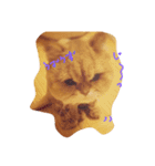 cats mill（個別スタンプ：4）