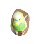 peetar（個別スタンプ：2）