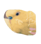 peetar（個別スタンプ：3）