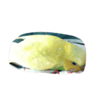 peetar（個別スタンプ：7）