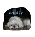 ラブリー リン（個別スタンプ：1）