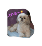 ラブリー リン（個別スタンプ：2）