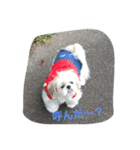 ラブリー リン（個別スタンプ：3）