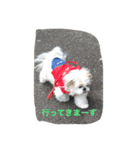 ラブリー リン（個別スタンプ：4）