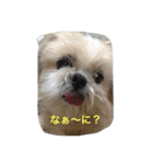 ラブリー リン（個別スタンプ：5）