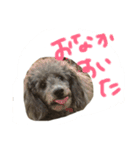 もずくすたんぷ①（個別スタンプ：3）