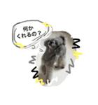 もずくすたんぷ①（個別スタンプ：5）