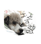 もずくすたんぷ①（個別スタンプ：6）