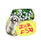 もずくすたんぷ①（個別スタンプ：7）