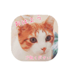 I am Kai！（個別スタンプ：1）
