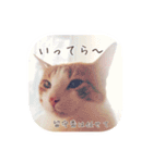 I am Kai！（個別スタンプ：2）
