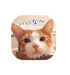 I am Kai！（個別スタンプ：3）