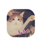 I am Kai！（個別スタンプ：9）