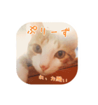 I am Kai！（個別スタンプ：11）