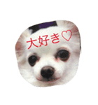 らぶりーももハウス（個別スタンプ：1）