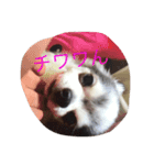 らぶりーももハウス（個別スタンプ：2）