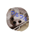らぶりーももハウス（個別スタンプ：3）