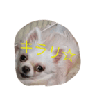 らぶりーももハウス（個別スタンプ：4）