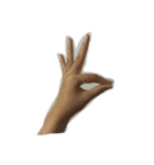 Hands ver. 1（個別スタンプ：8）