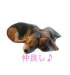 mameta katsuta（個別スタンプ：2）