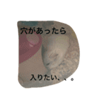 ハムスターめめ男（個別スタンプ：4）