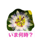 みちばたの生きものスタンプ（個別スタンプ：2）