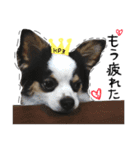 Jくん スタンプ（個別スタンプ：3）