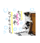 Jくん スタンプ（個別スタンプ：13）