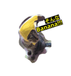 心愛ちゃんの日常（個別スタンプ：5）