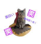 心愛ちゃんの日常（個別スタンプ：6）