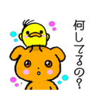 ワンワン★（個別スタンプ：7）