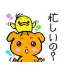 ワンワン★（個別スタンプ：8）