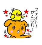 ワンワン★（個別スタンプ：11）
