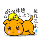 ワンワン★（個別スタンプ：31）