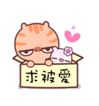 A cat it is unhappy 4（個別スタンプ：6）