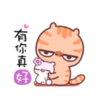 A cat it is unhappy 4（個別スタンプ：28）