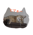 カジこた(カジリン＆小太郎)（個別スタンプ：2）